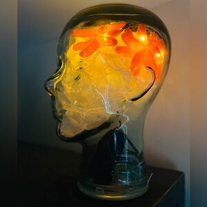 Meet your Posher, DuckyLad